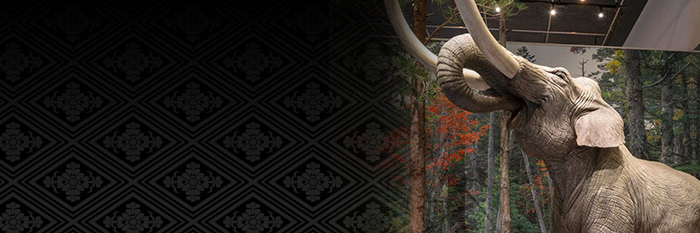 JustJenBlue's profile banner image