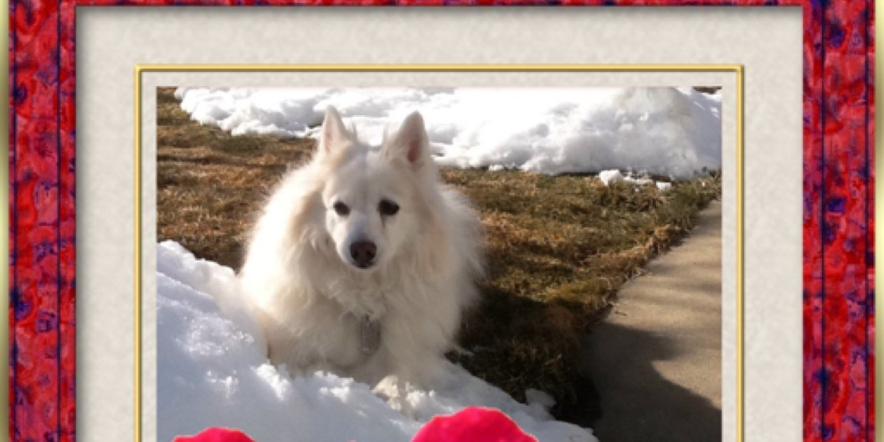 Sassy& Angels Sadie & Phi banner