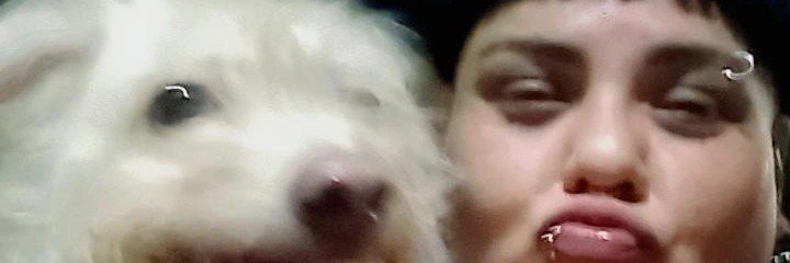 Phaood's profile banner image
