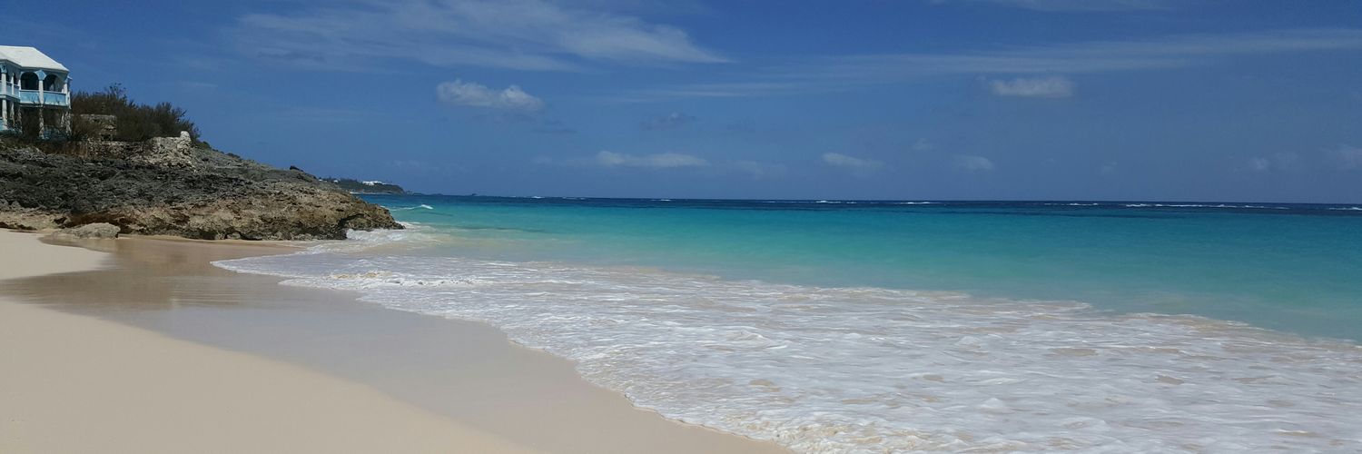 Bill Davidson banner