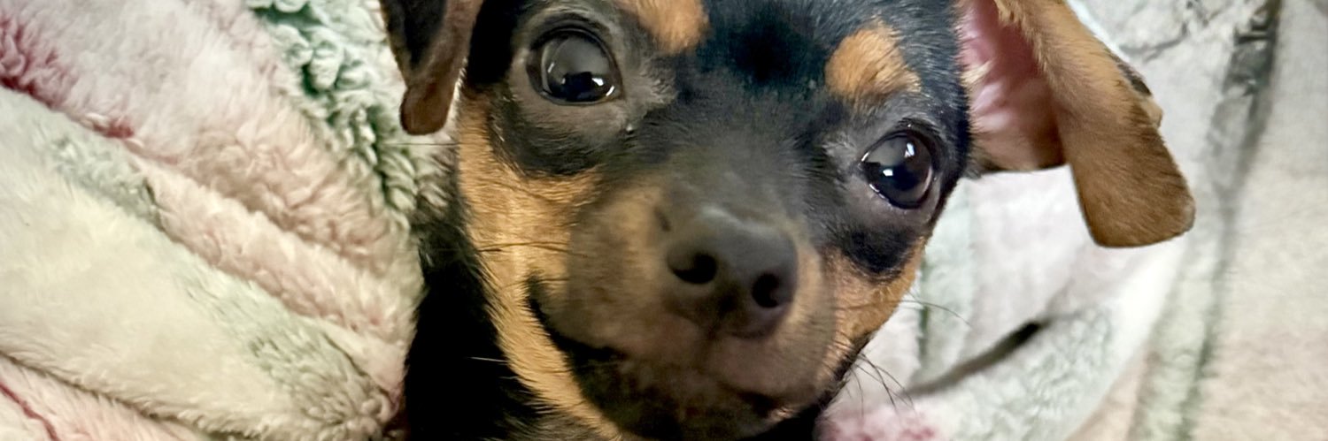 JAMDailey's profile banner image