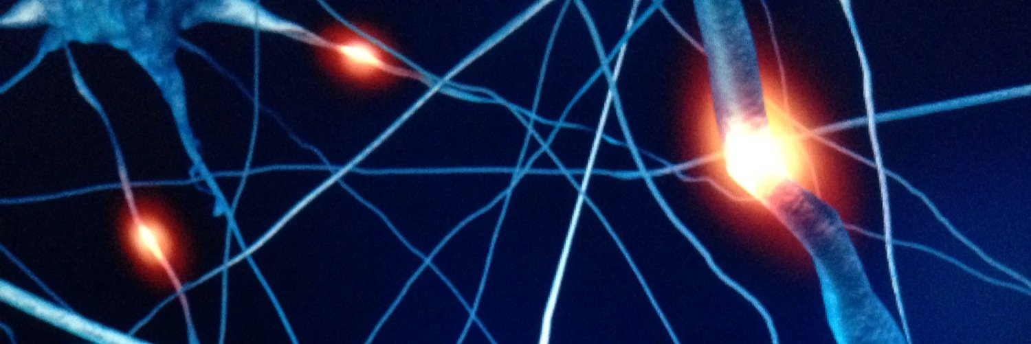 The_SQib's profile banner image