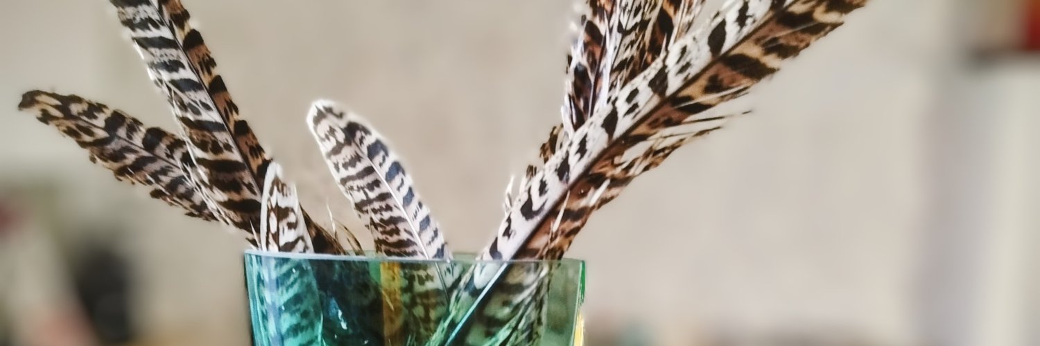 2so_fa's profile banner image