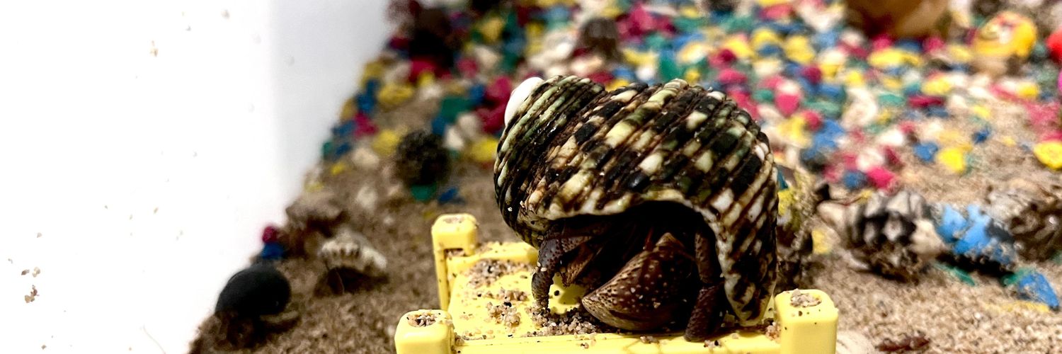 unbelievable banner