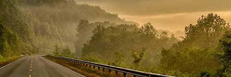 JoLynn banner