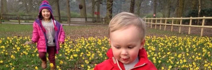 ludavin87's profile banner image