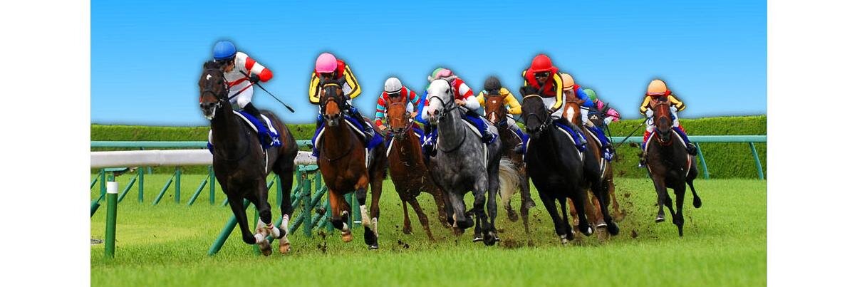 競馬 サラブレ編集部 banner