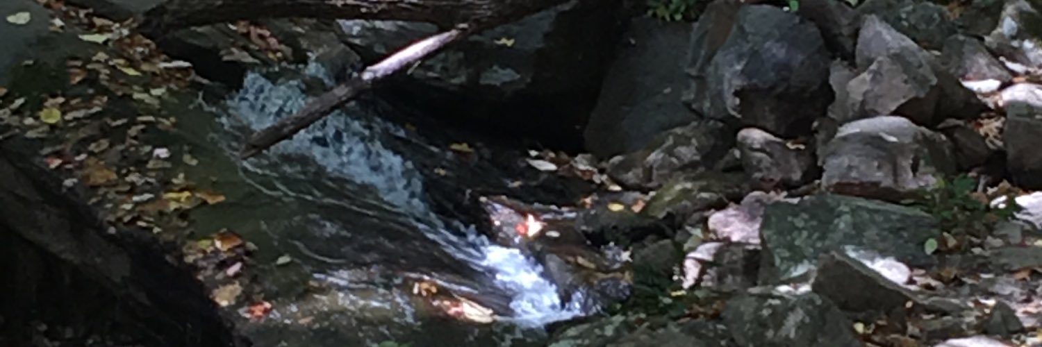 Soulflower221's profile banner image