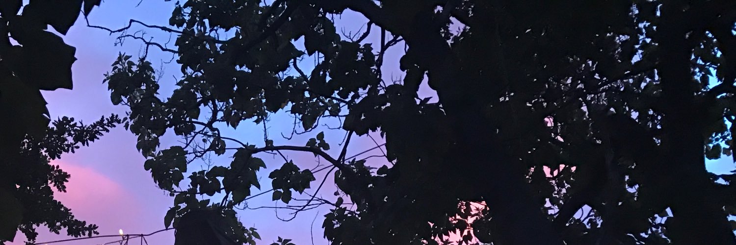 BlueStationary's profile banner image