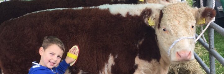 KerrieanneRyan's profile banner image