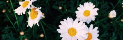 casey_denham_x's profile banner image