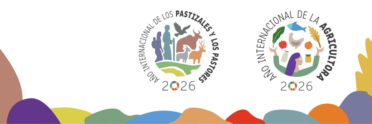 FAO México banner