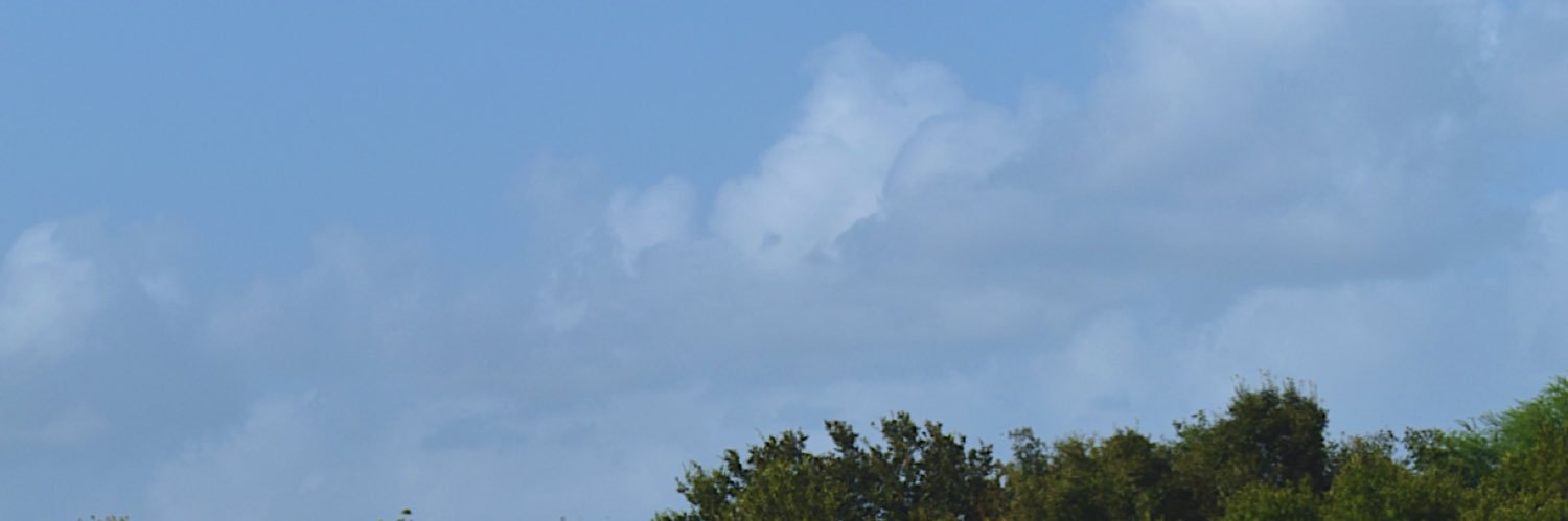 Toonmaan banner