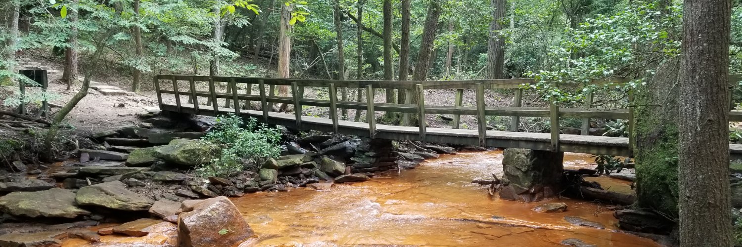 Rich Severson banner