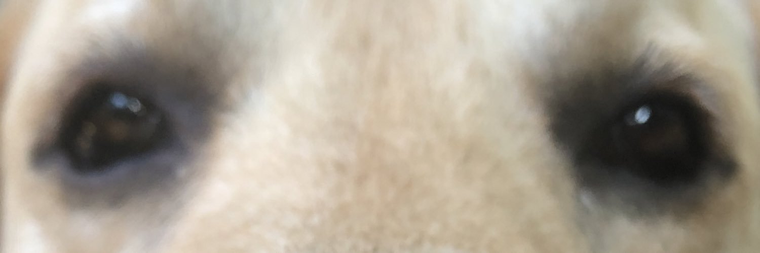 adriendep_'s profile banner image