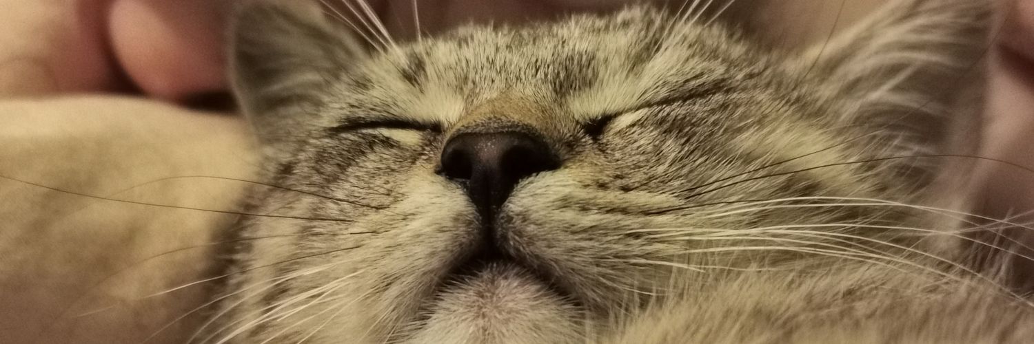 shadow_cat83's profile banner image