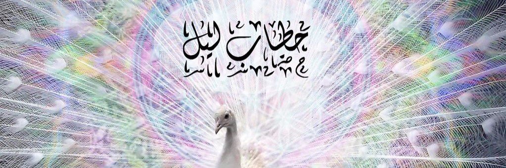 حطاب ليل banner