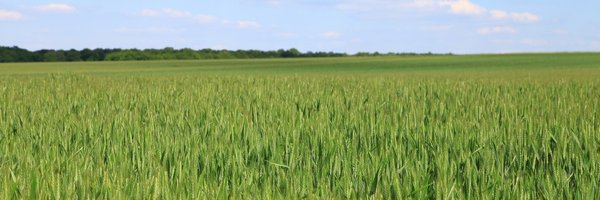 abillaudeau85 Profile Banner