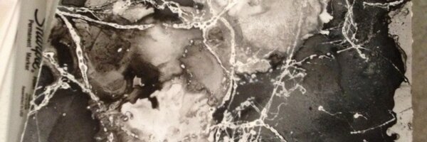 jenngatz Profile Banner