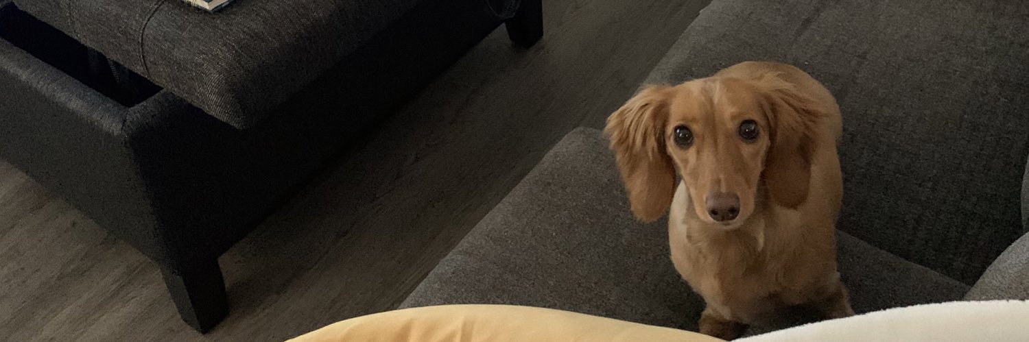 MacyCrytzer's profile banner image