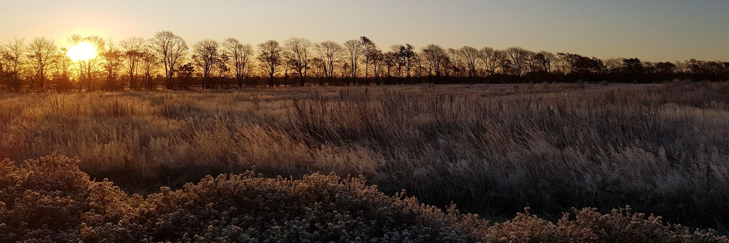 midstrup's profile banner image