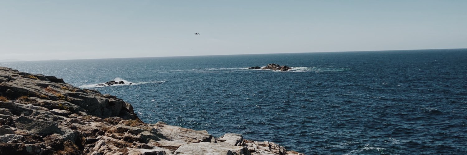 Saraaay_C's profile banner image