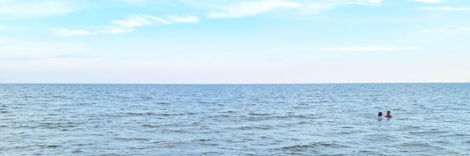 sailormully's profile banner image
