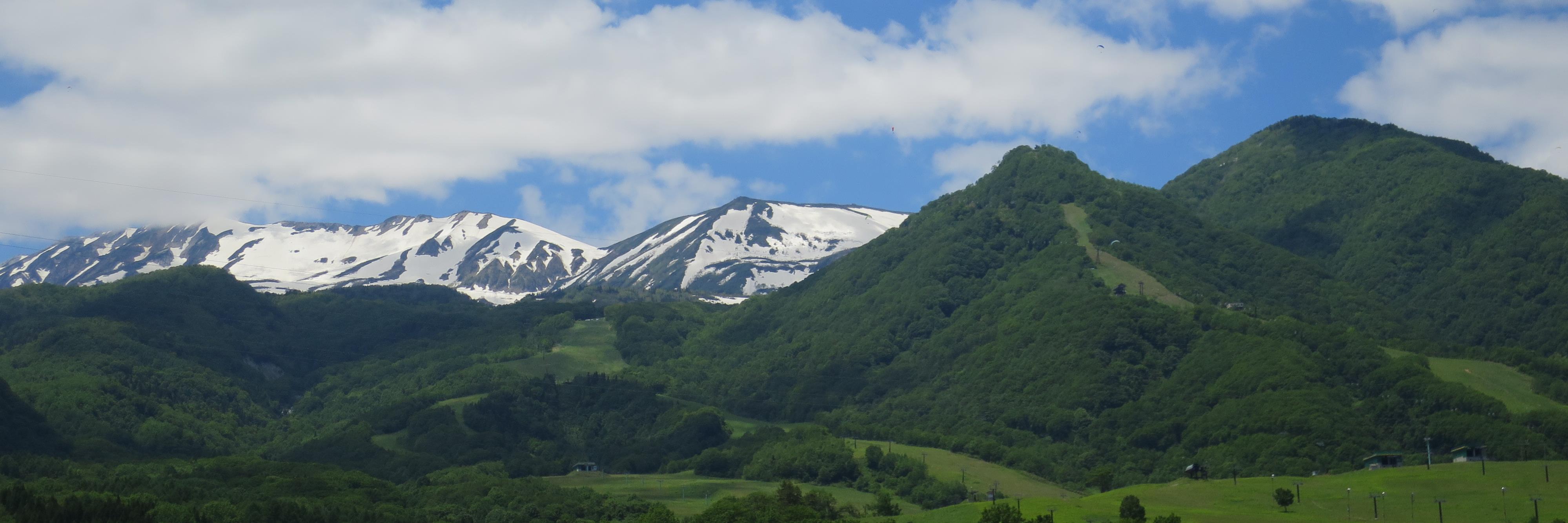 ルーン banner