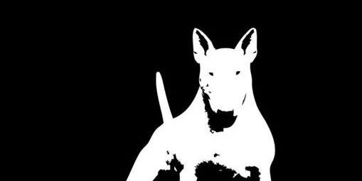 klfmoonsta's profile banner image