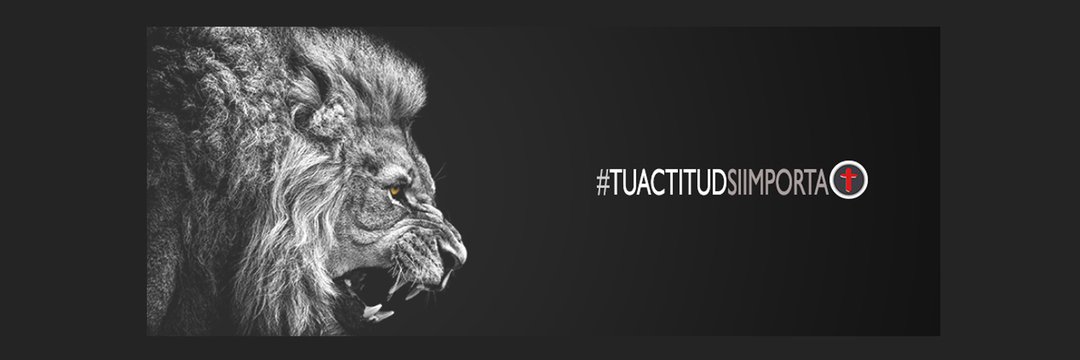 maxi_puchetta's profile banner image