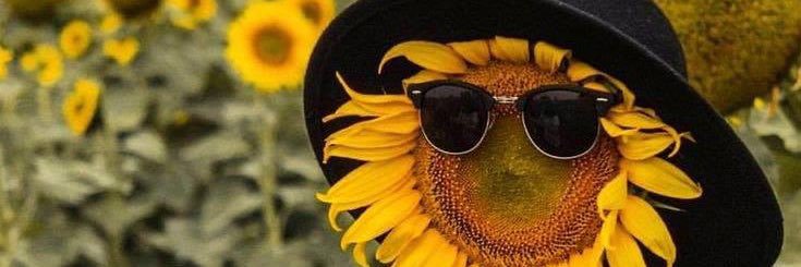 alawndraaa's profile banner image