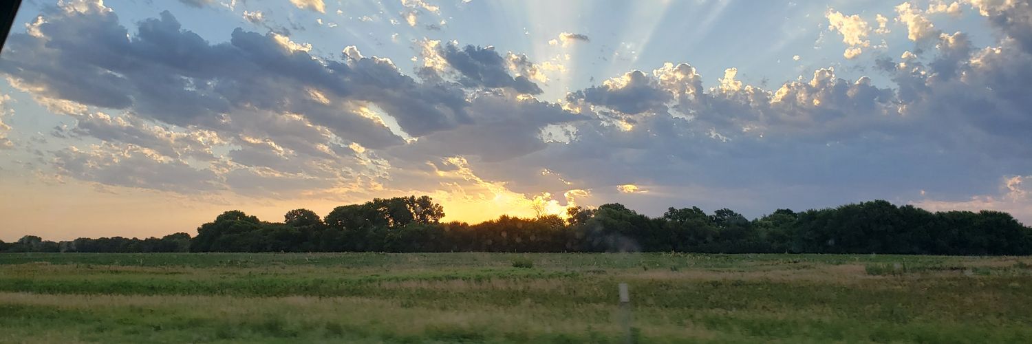 amy_newlin's profile banner image