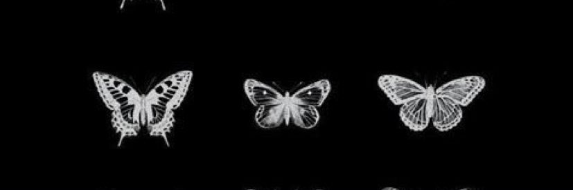 LilKay_ForYa's profile banner image
