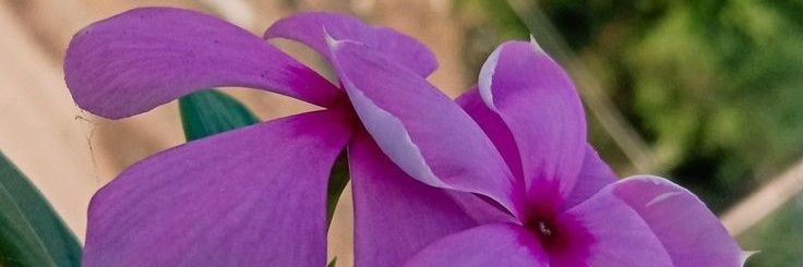 manuela199x's profile banner image