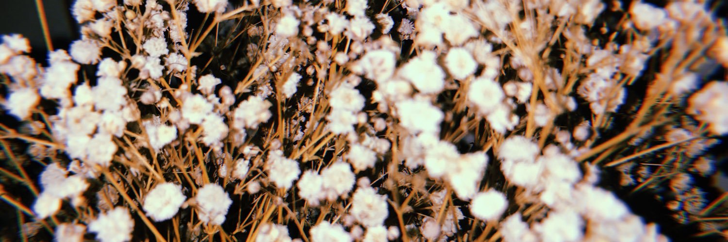 wanglauren's profile banner image