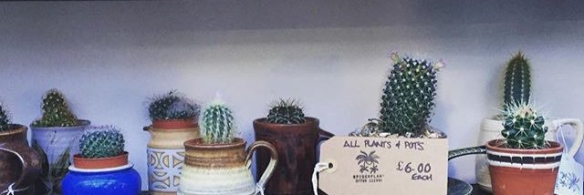 BrookerAmy's profile banner image