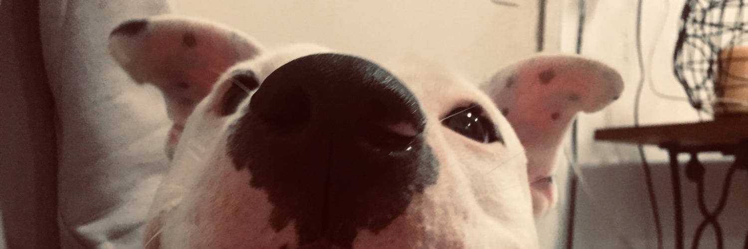 FacelloLoli's profile banner image