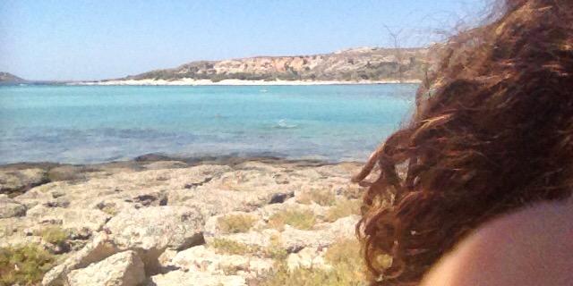 delia cipullo banner