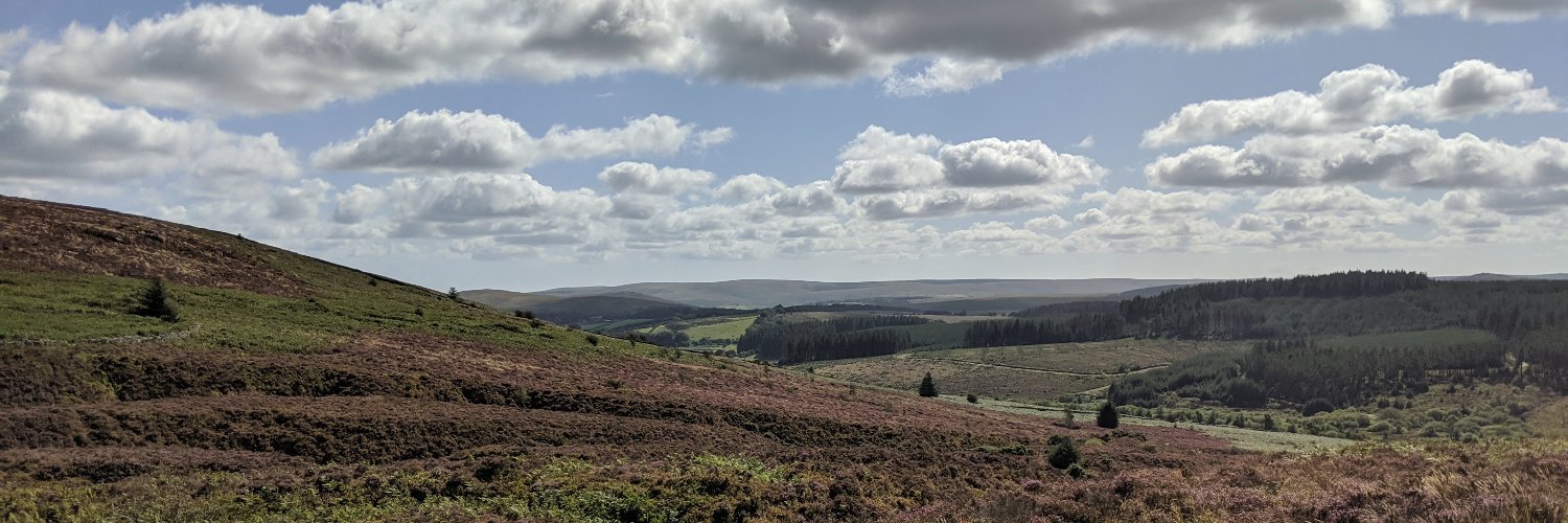 stevehadd's profile banner image