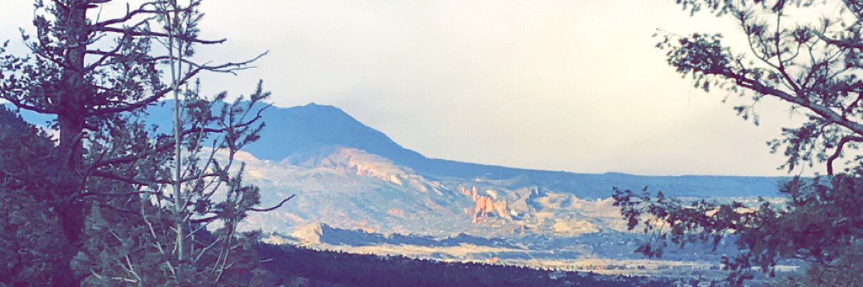 abbyrayfield's profile banner image