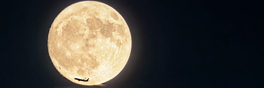 tudoe11's profile banner image