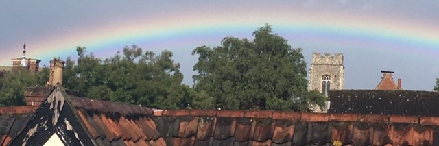 Hélène Binesse banner