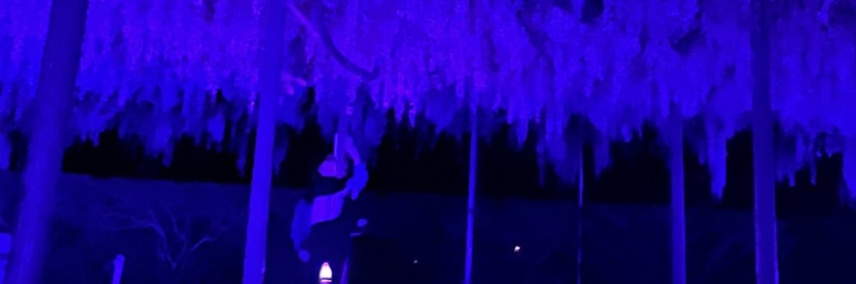 Romance_RS's profile banner image
