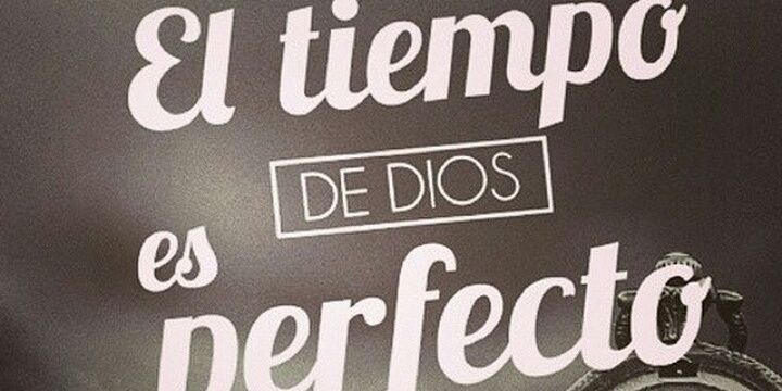 shirpalacio's profile banner image