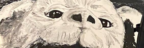 Pancakes banner