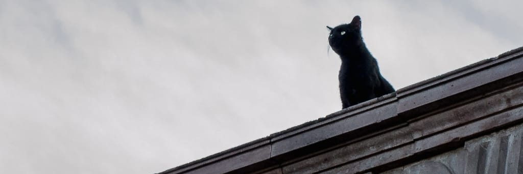 APadiernaB's profile banner image