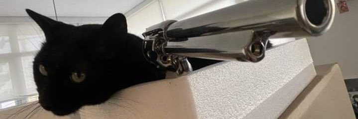 Doom banner