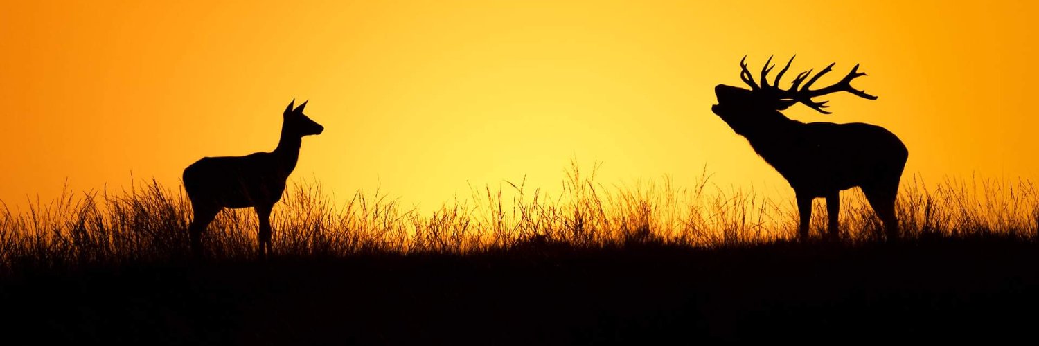 awakeby2020's profile banner image