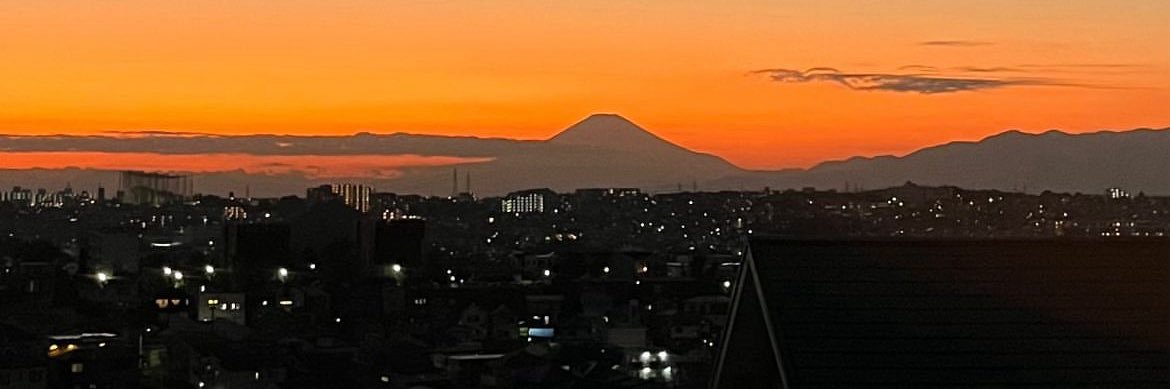 Scherazade Siganporia banner