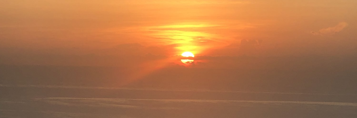 Michelle Shepard banner